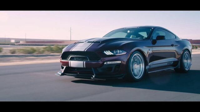 Shelby 800 01